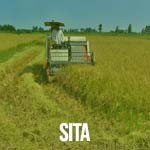 Sita