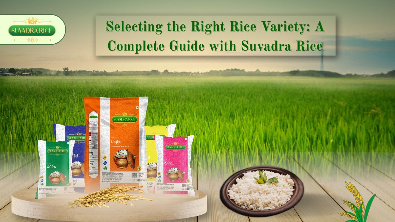 Selecting the Right Rice Variety: A Complete Guide with Suvadra Rice