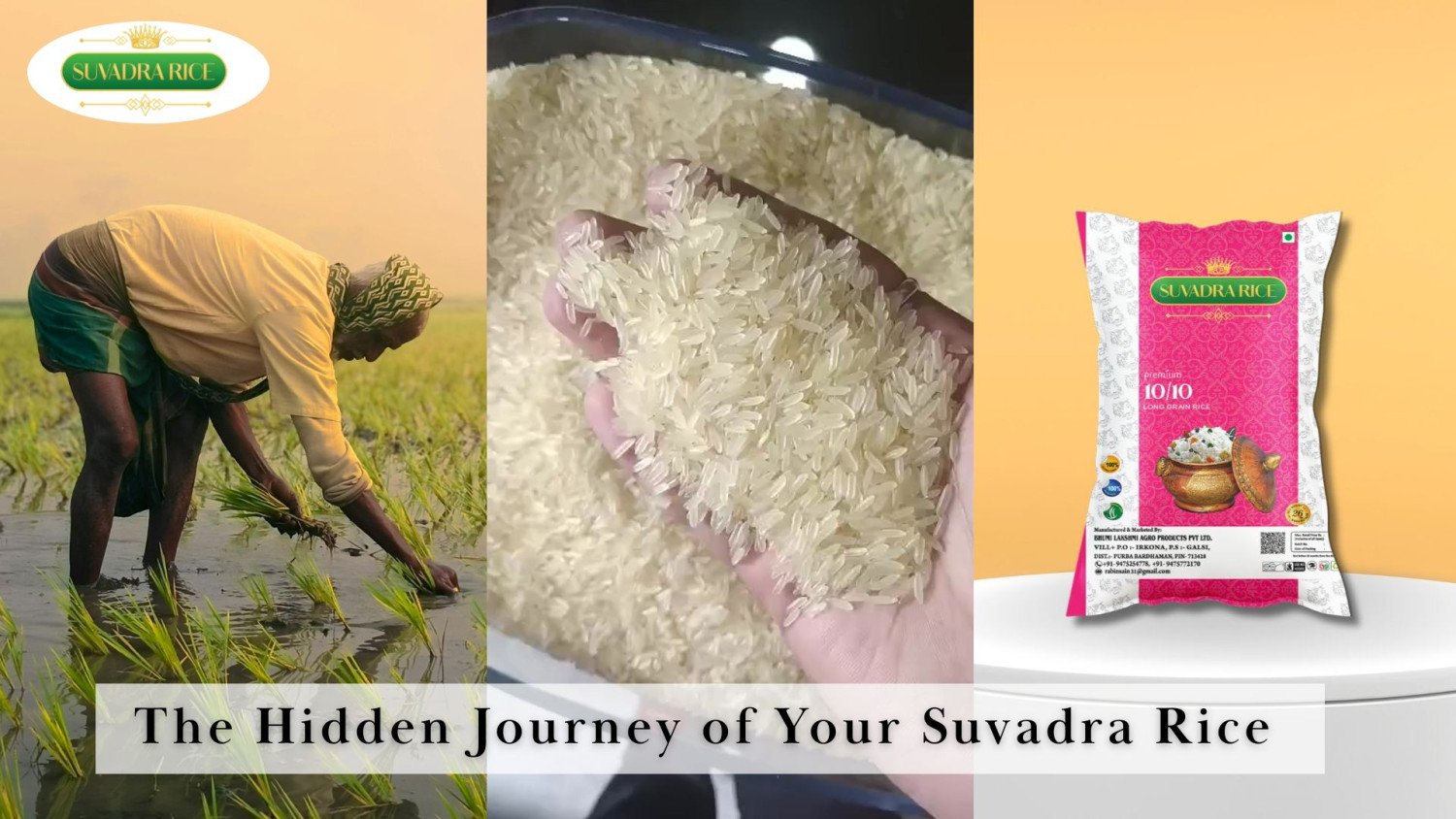 Beyond the Bag: The Hidden Journey of Your Suvadra Rice